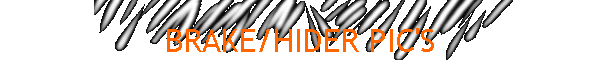 BRAKE/HIDER PIC'S
