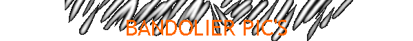 BANDOLIER PIC'S
