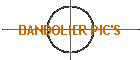 BANDOLIER PIC'S