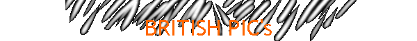 BRITISH PIC's