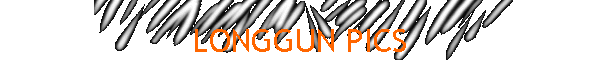 LONGGUN PICS