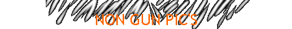 NON GUN PIC'S