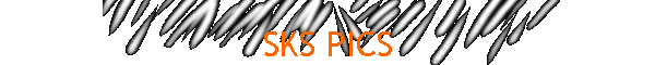 SKS PICS