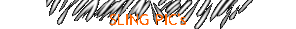 SLING PIC's