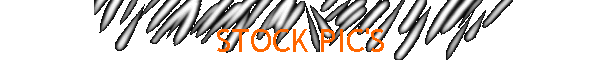 STOCK PIC'S