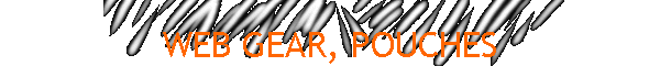 WEB GEAR, POUCHES