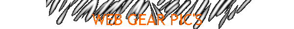 WEB GEAR PIC'S