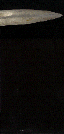 wpe09366.gif (14148 bytes)
