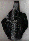 wpe22045.gif (32168 bytes)