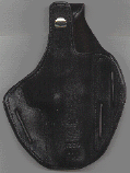 wpe10734.gif (26210 bytes)