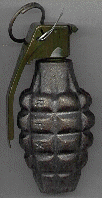 wpe37548.gif (16200 bytes)